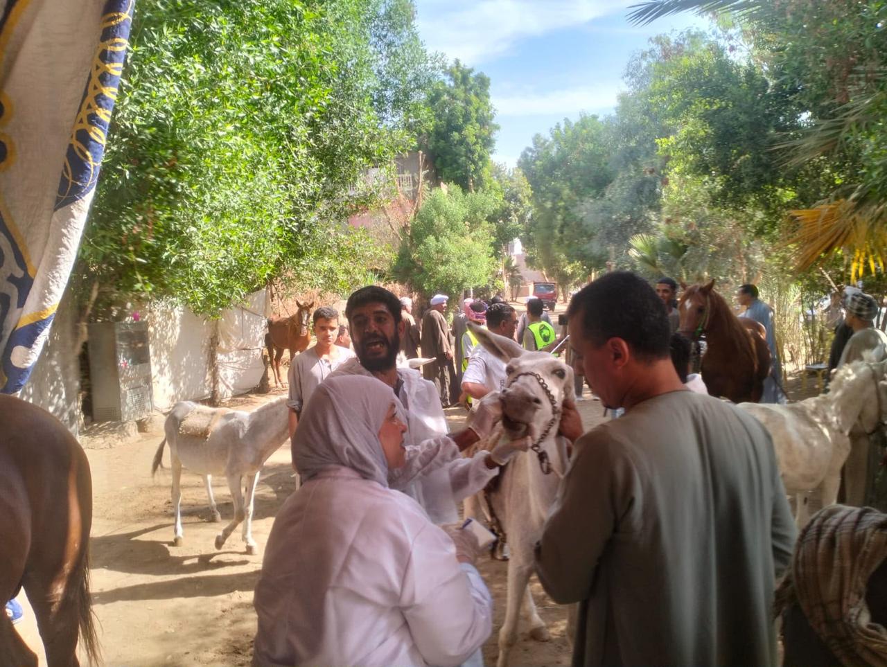  الزراعة  تنشر تقريرًا بأنشطة وجهود معامل ومعاهد  البحوث الزراعية 