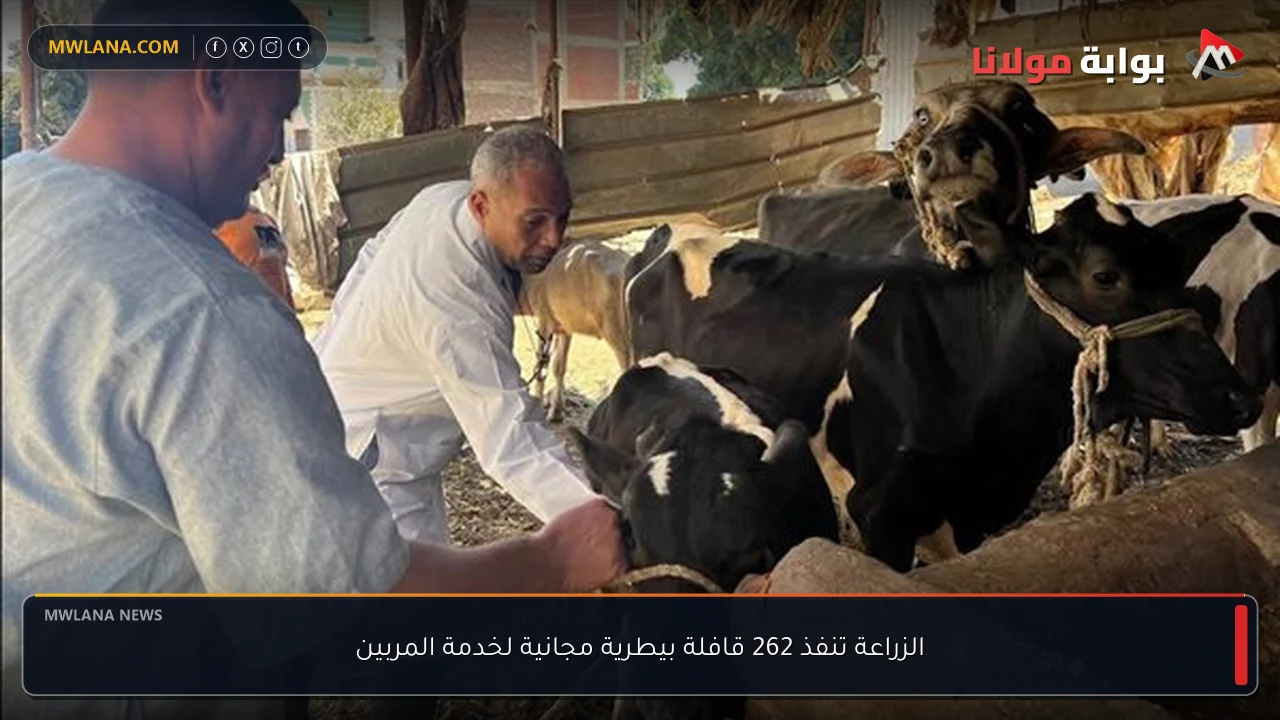الزراعة تنفذ 262 قافلة بيطرية مجانية لخدمة المربين