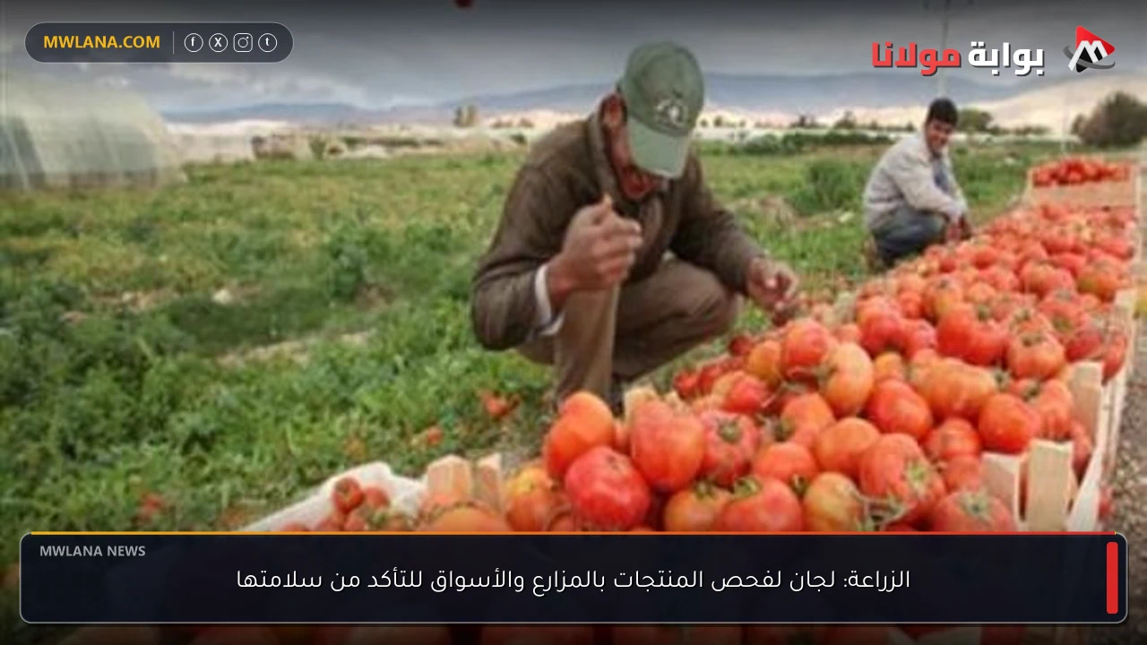 الزراعة: لجان لفحص المنتجات بالمزارع والأسواق للتأكد من سلامتها