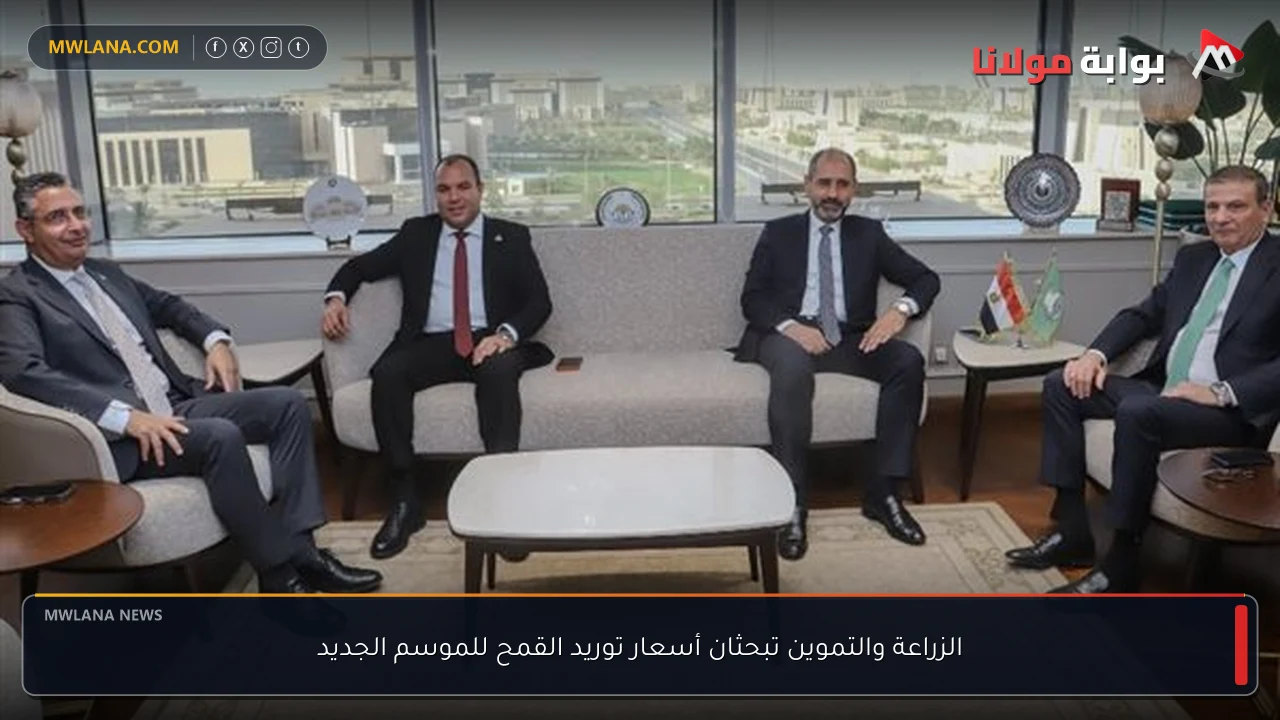 الزراعة والتموين تبحثان أسعار توريد القمح للموسم الجديد
