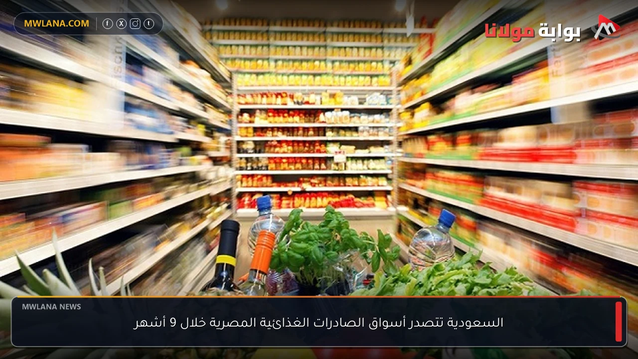 السعودية تتصدر أسواق الصادرات الغذائية المصرية خلال 9 أشهر