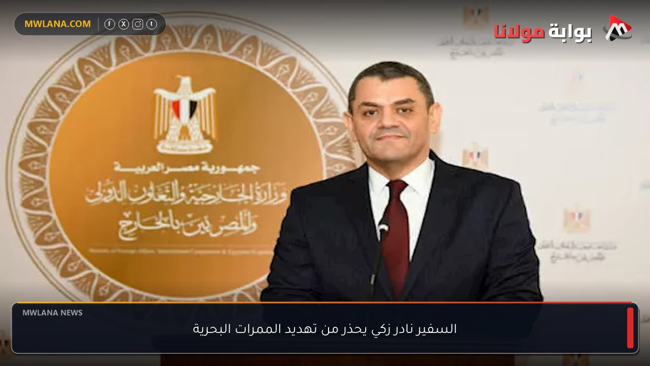 السفير نادر زكي يحذر من تهديد الممرات البحرية