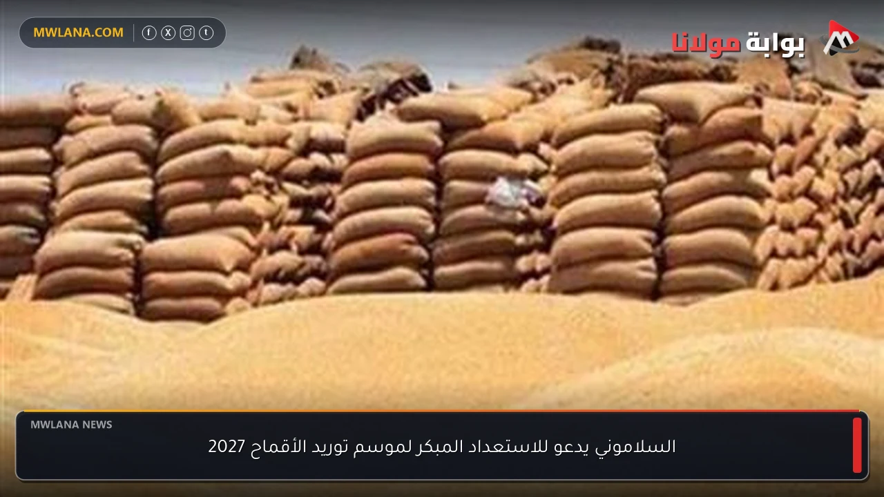 السلاموني يدعو للاستعداد المبكر لموسم توريد الأقماح 2027