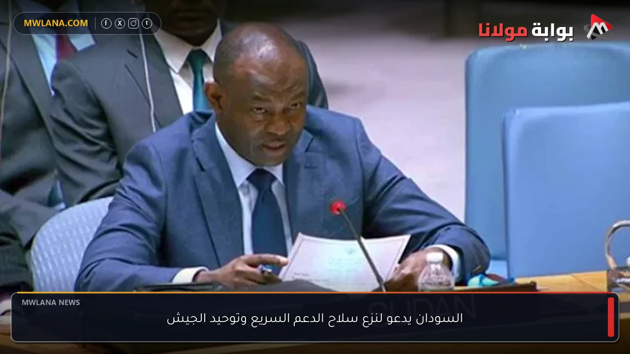 السودان يدعو لنزع سلاح الدعم السريع وتوحيد الجيش