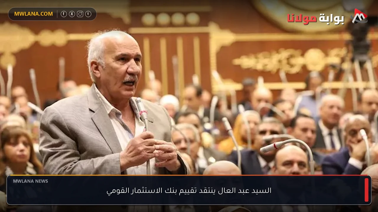 السيد عبد العال ينتقد تقييم بنك الاستثمار القومي