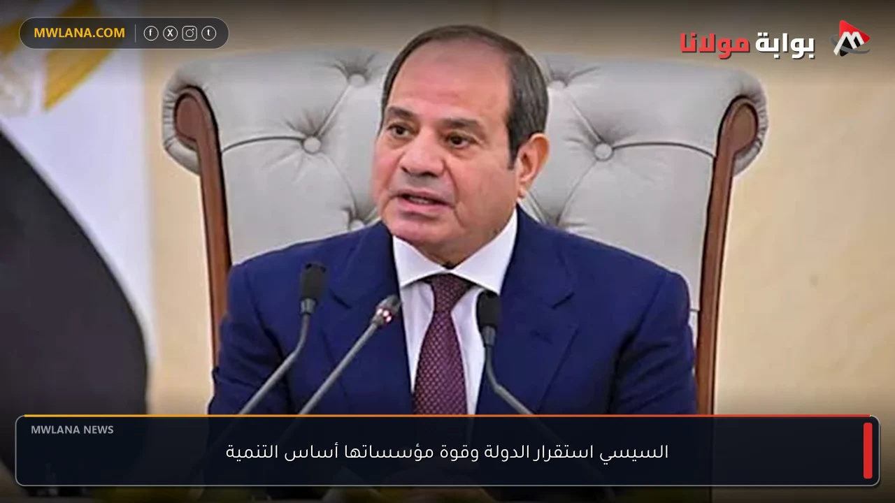 السيسي استقرار الدولة وقوة مؤسساتها أساس التنمية