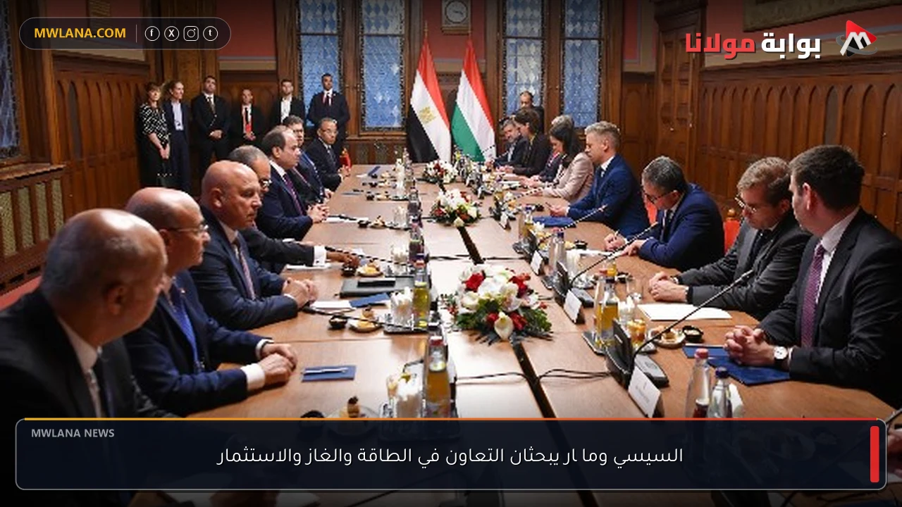 السيسي وماچار يبحثان التعاون في الطاقة والغاز والاستثمار