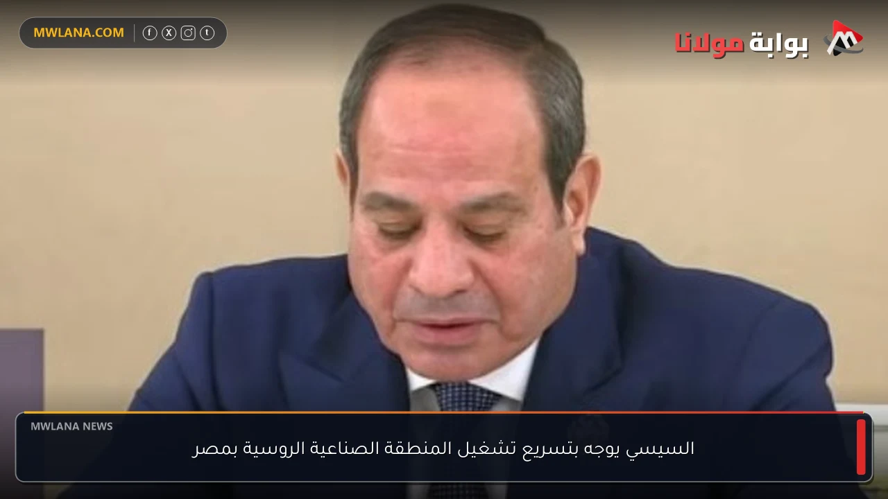 السيسي يوجه بتسريع تشغيل المنطقة الصناعية الروسية بمصر