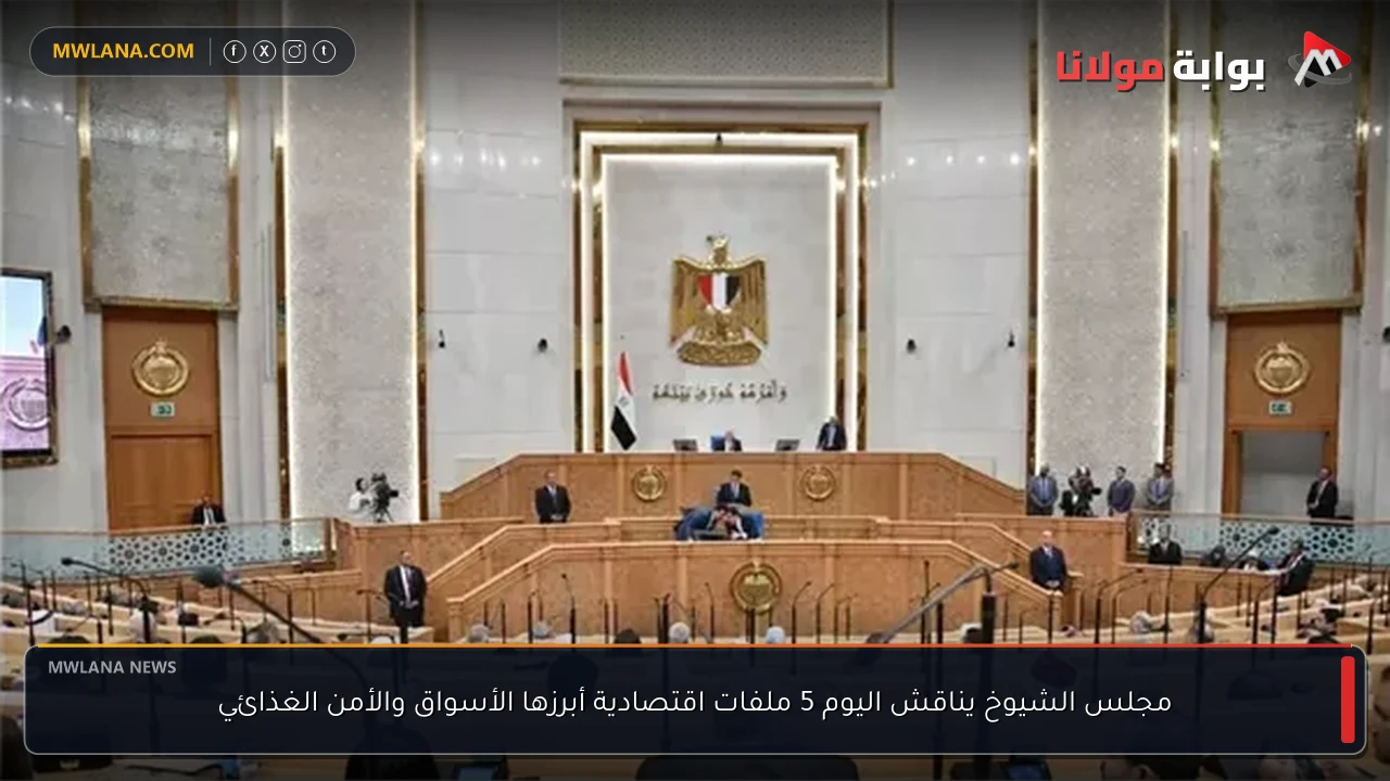مجلس الشيوخ يناقش اليوم 5 ملفات اقتصادية أبرزها الأسواق والأمن الغذائي