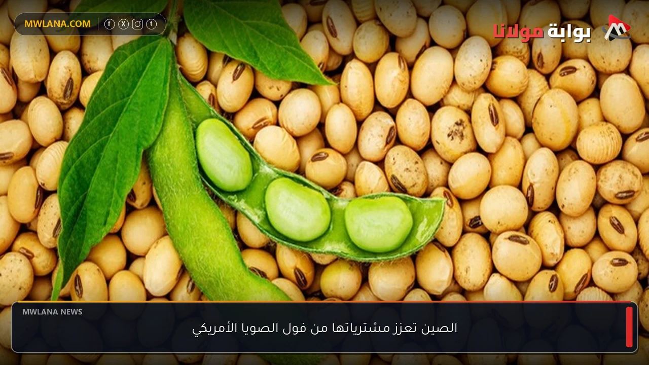 الصين تعزز مشترياتها من فول الصويا الأمريكي