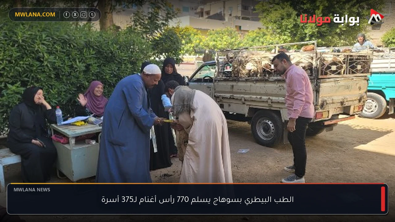 الطب البيطري بسوهاج يسلم 770 رأس أغنام لـ375 أسرة