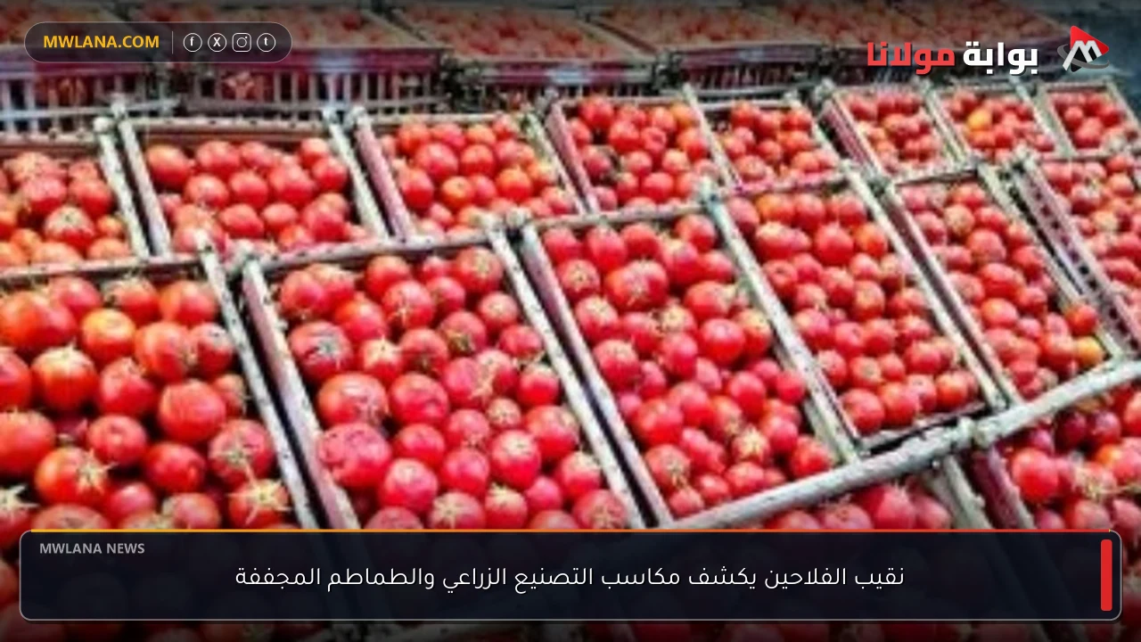 نقيب الفلاحين يكشف مكاسب التصنيع الزراعي والطماطم المجففة