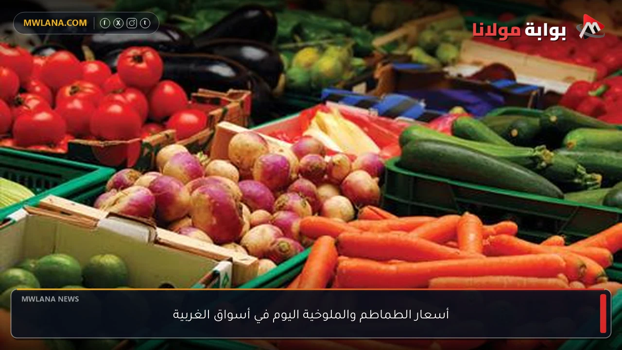 أسعار الطماطم والملوخية اليوم في أسواق الغربية