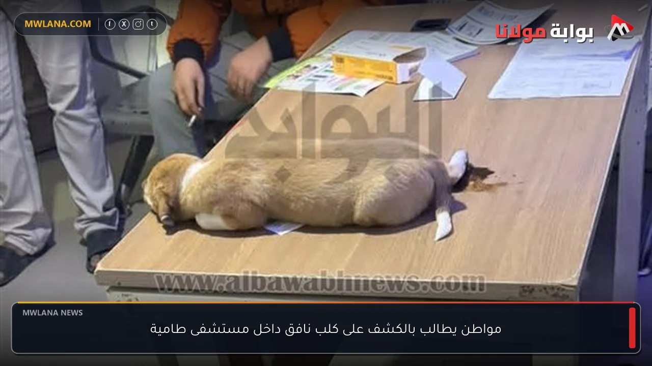 مواطن يطالب بالكشف على كلب نافق داخل مستشفى طامية