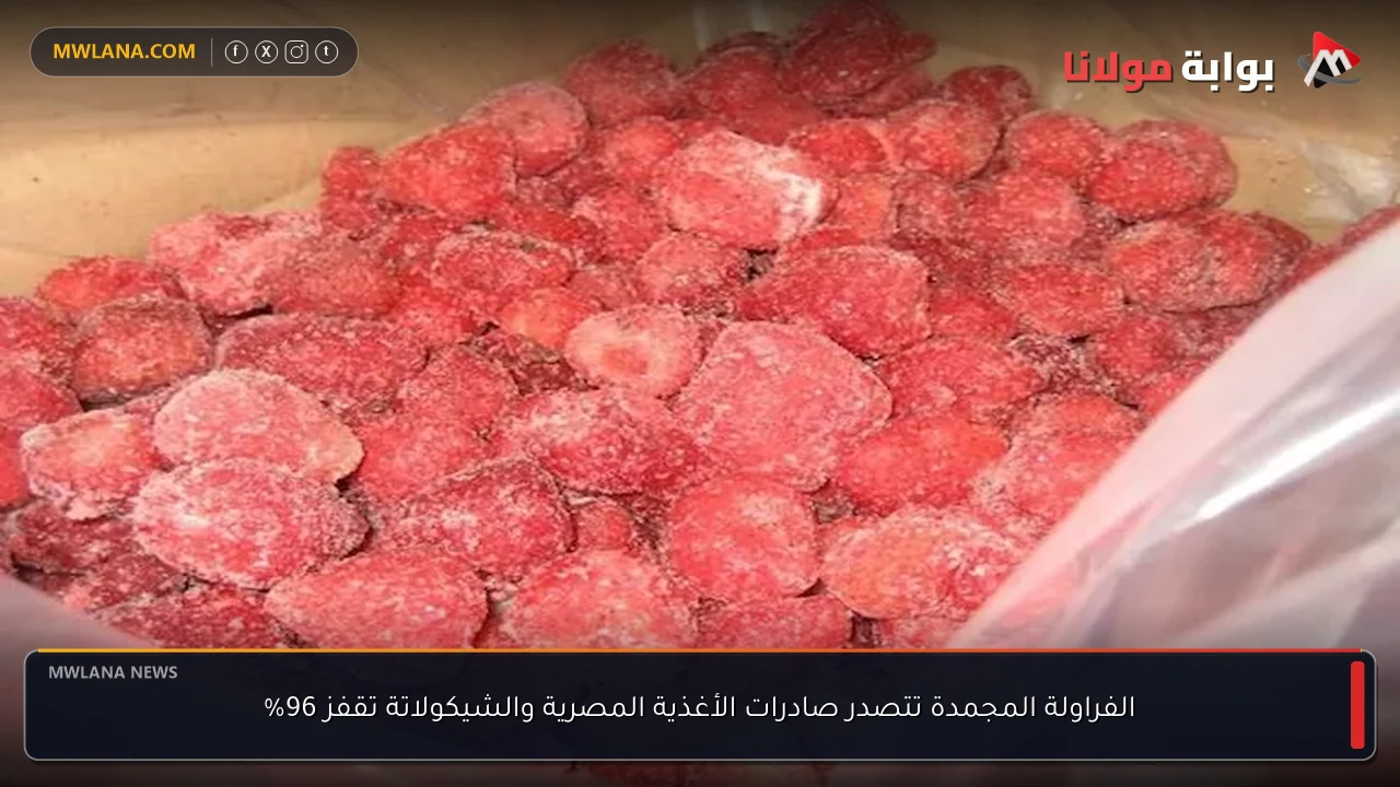 الفراولة المجمدة تتصدر صادرات الأغذية المصرية والشيكولاتة تقفز 96%