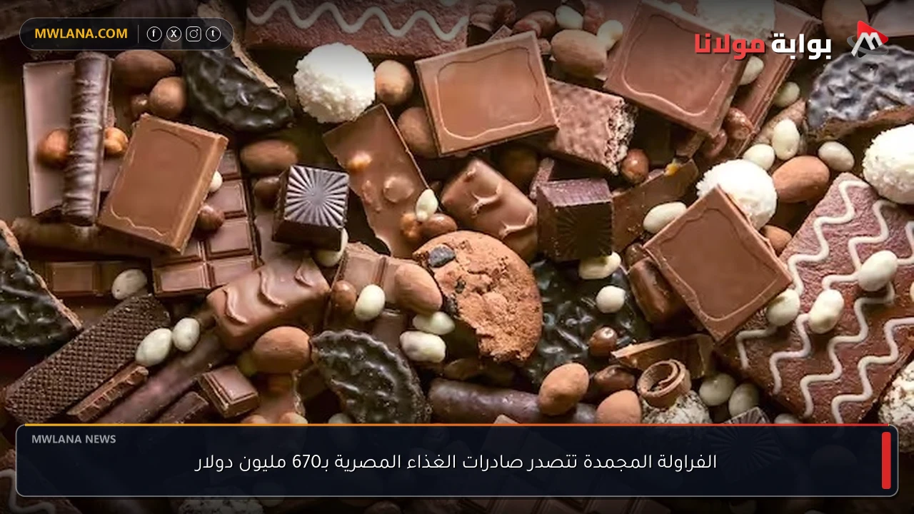 الفراولة المجمدة تتصدر صادرات الغذاء المصرية بـ670 مليون دولار