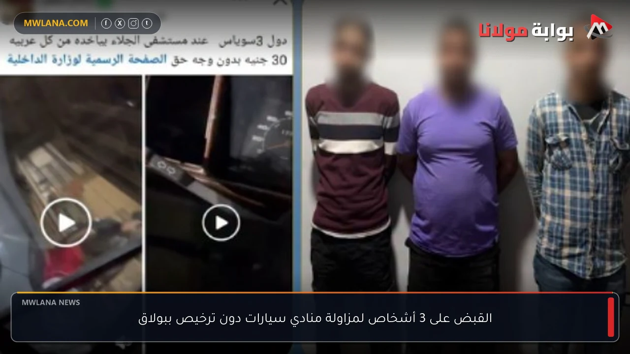 القبض على 3 أشخاص لمزاولة منادي سيارات دون ترخيص ببولاق