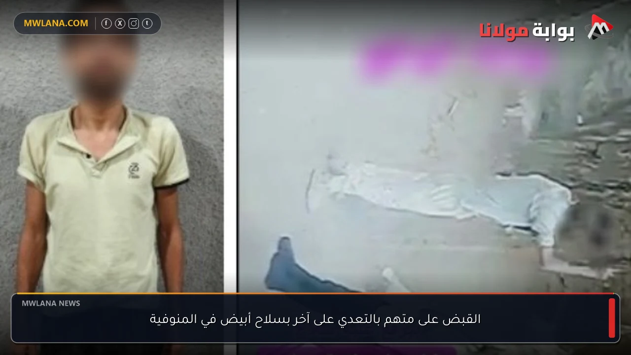 القبض على متهم بالتعدي على آخر بسلاح أبيض في المنوفية