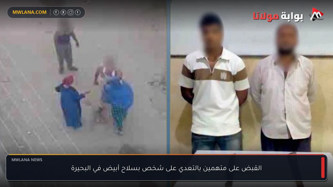 القبض على متهمين بالتعدي على شخص بسلاح أبيض في البحيرة