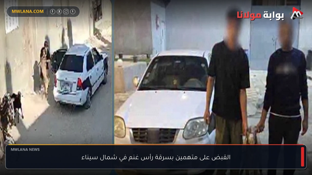 القبض على متهمين بسرقة رأس غنم في شمال سيناء