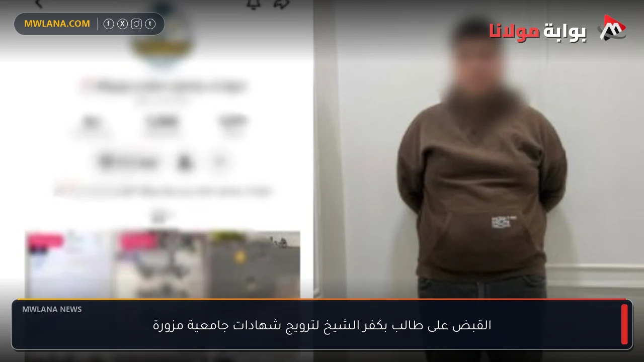 القبض على طالب بكفر الشيخ لترويج شهادات جامعية مزورة