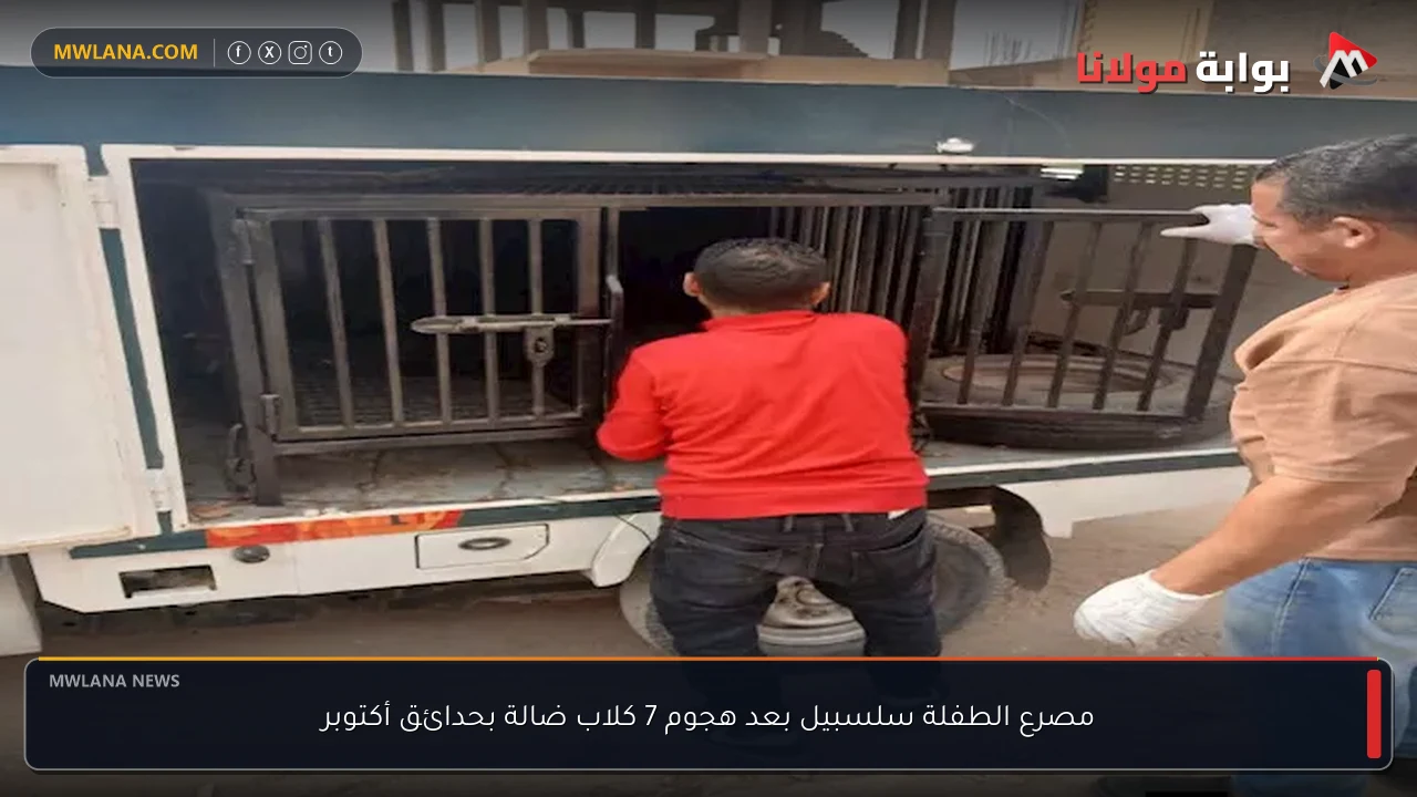 مصرع الطفلة سلسبيل بعد هجوم 7 كلاب ضالة بحدائق أكتوبر