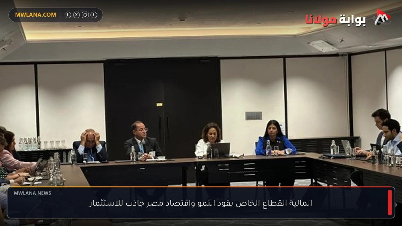 المالية القطاع الخاص يقود النمو واقتصاد مصر جاذب للاستثمار