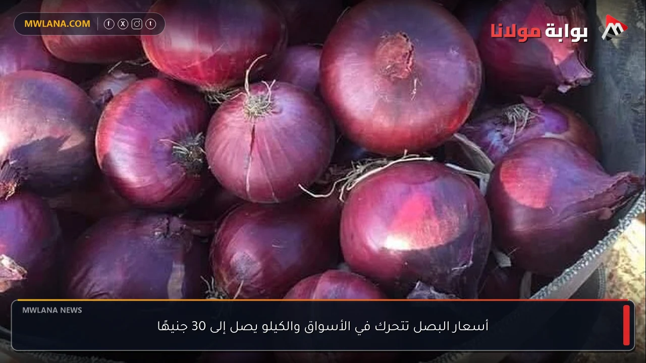 أسعار البصل تتحرك في الأسواق والكيلو يصل إلى 30 جنيهًا