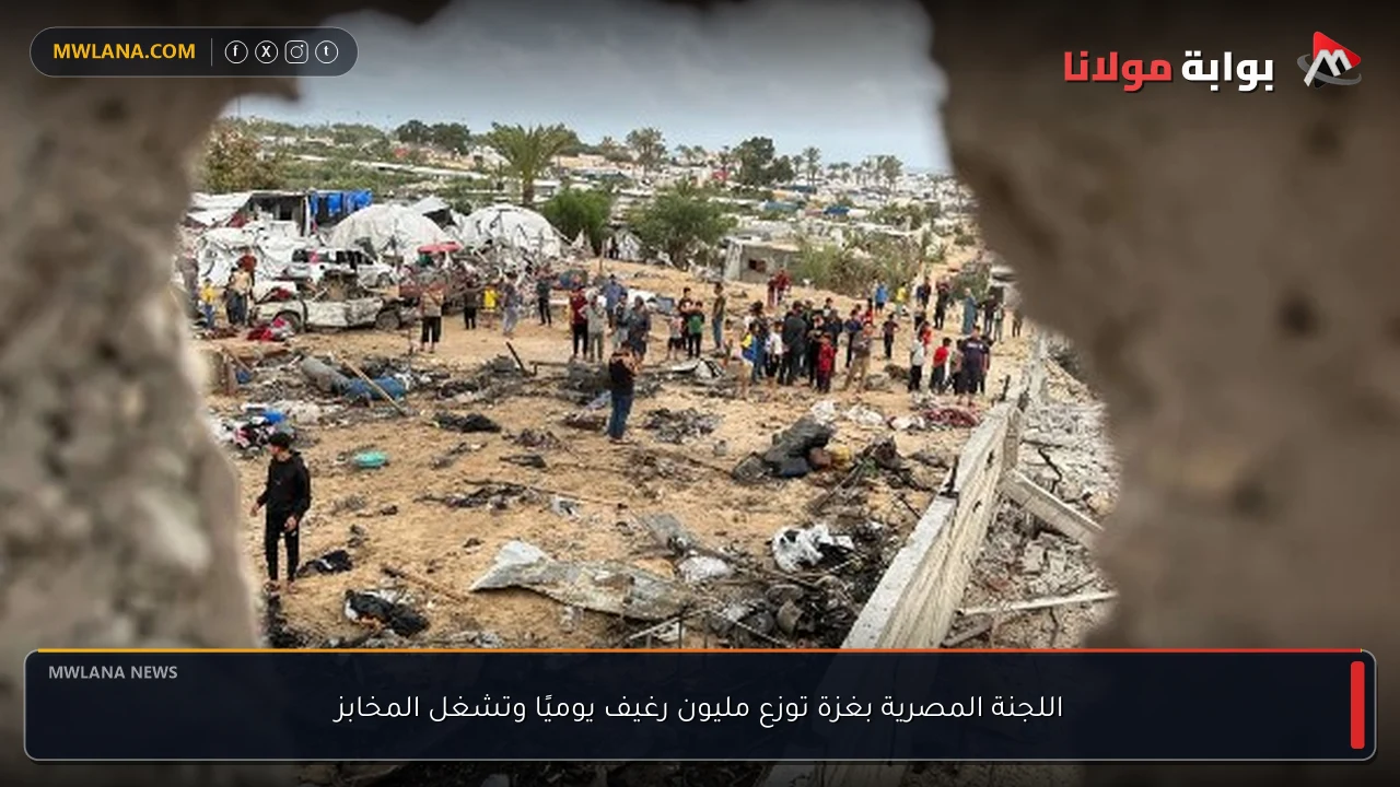 اللجنة المصرية بغزة توزع مليون رغيف يوميًا وتشغل المخابز