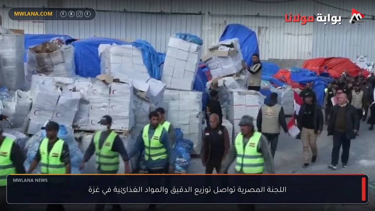 اللجنة المصرية تواصل توزيع الدقيق والمواد الغذائية في غزة