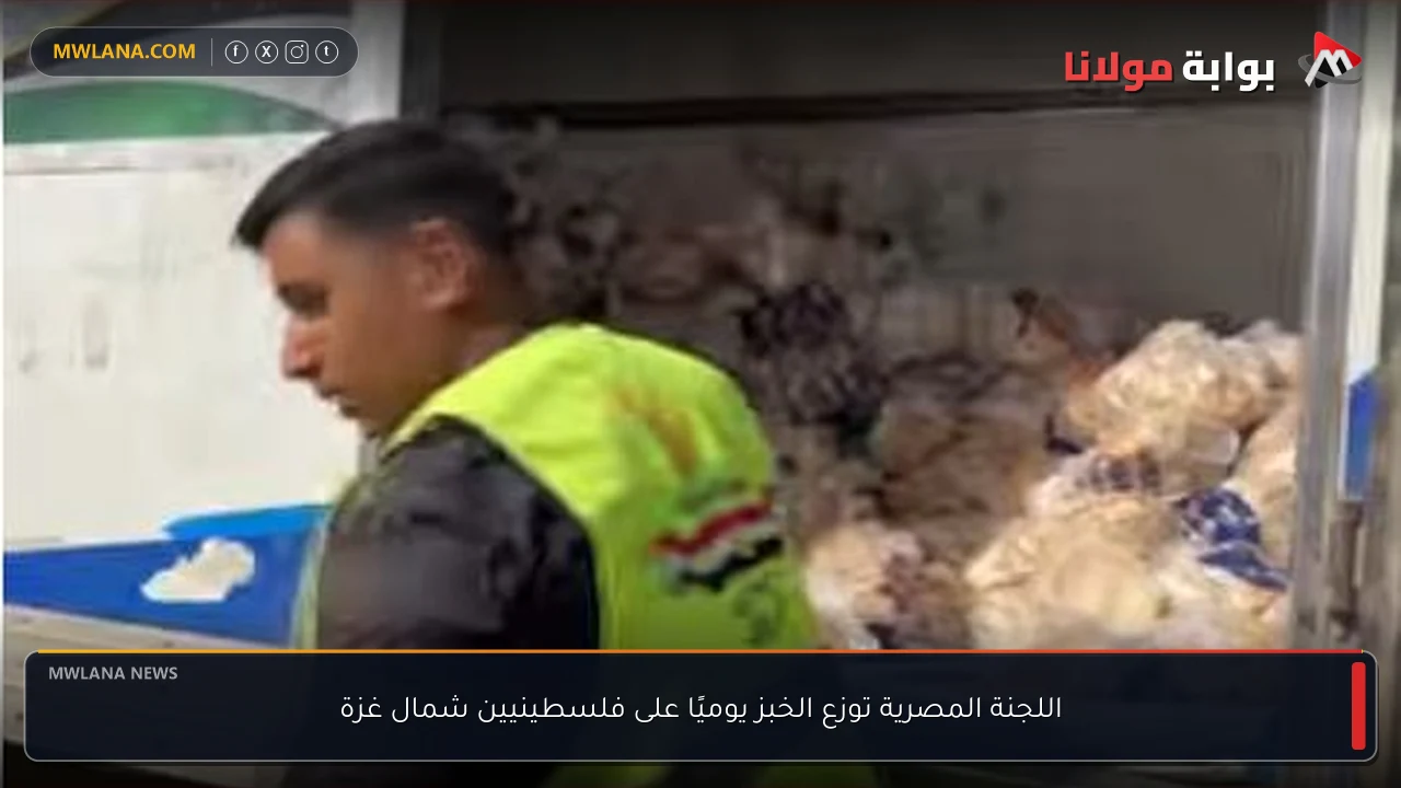 اللجنة المصرية توزع الخبز يوميًا على فلسطينيين شمال غزة