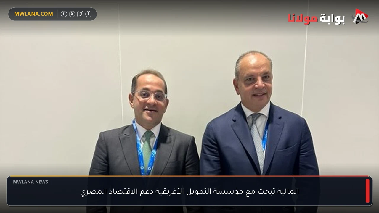 المالية تبحث مع مؤسسة التمويل الأفريقية دعم الاقتصاد المصري