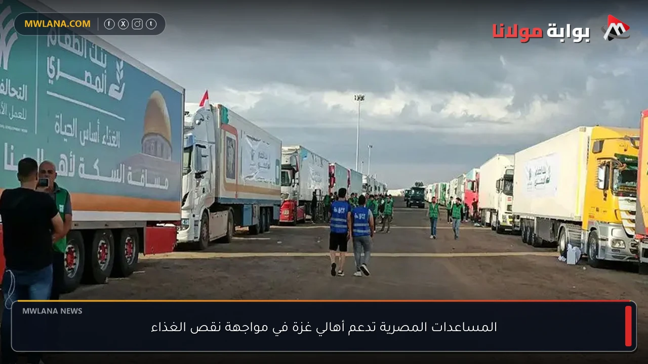 المساعدات المصرية تدعم أهالي غزة في مواجهة نقص الغذاء