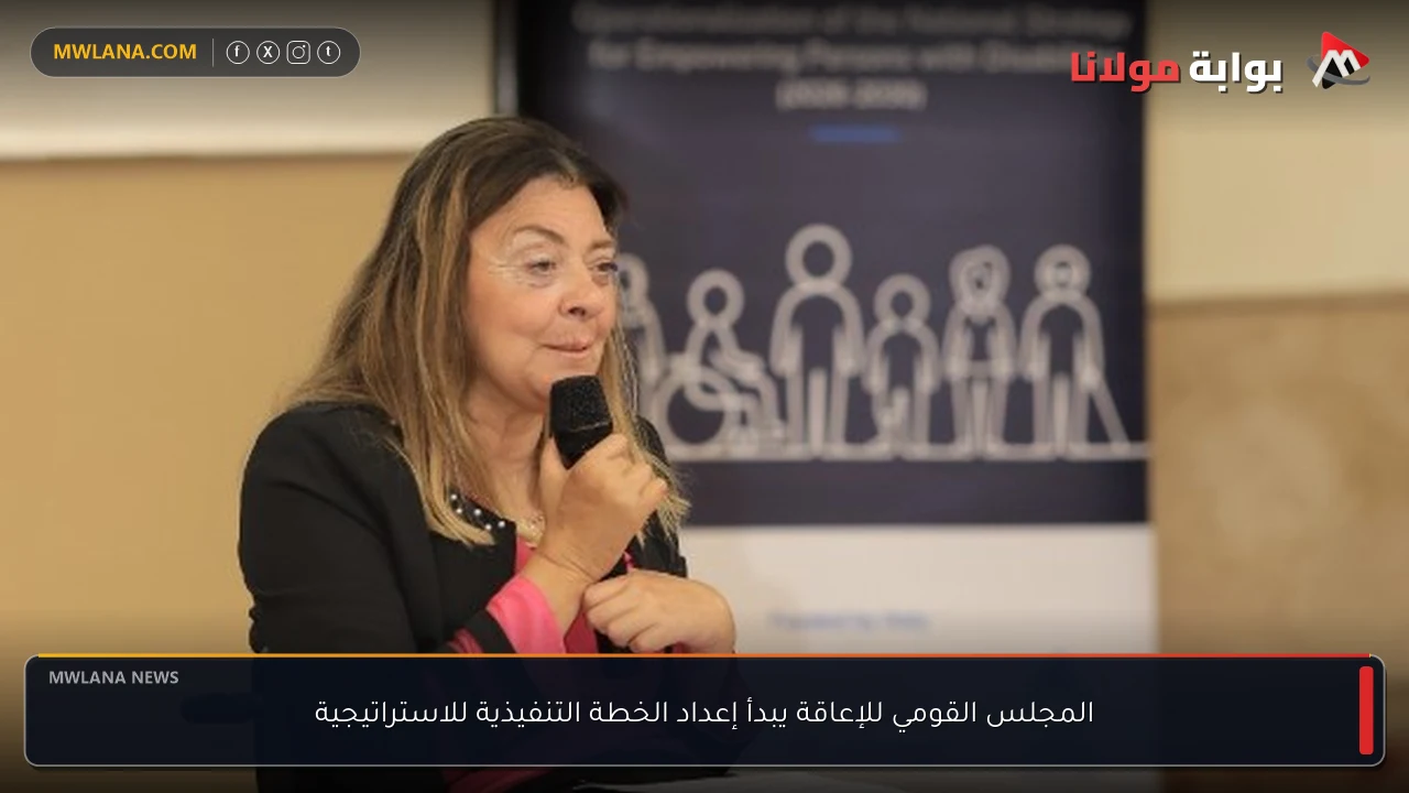 المجلس القومي للإعاقة يبدأ إعداد الخطة التنفيذية للاستراتيجية