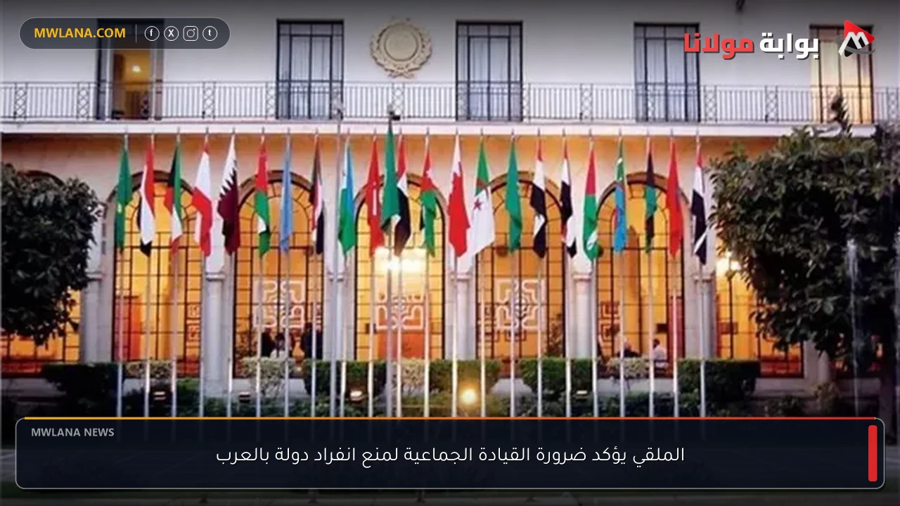 الملقي يؤكد ضرورة القيادة الجماعية لمنع انفراد دولة بالعرب