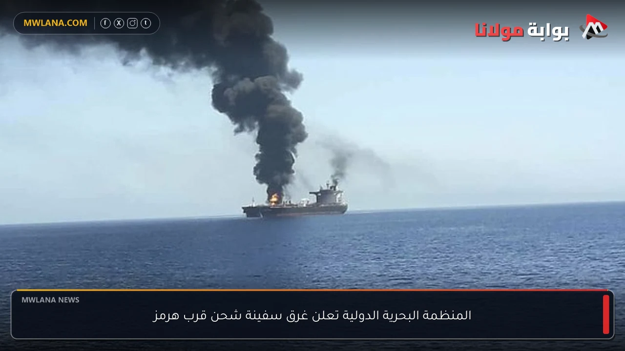 المنظمة البحرية الدولية تعلن غرق سفينة شحن قرب هرمز