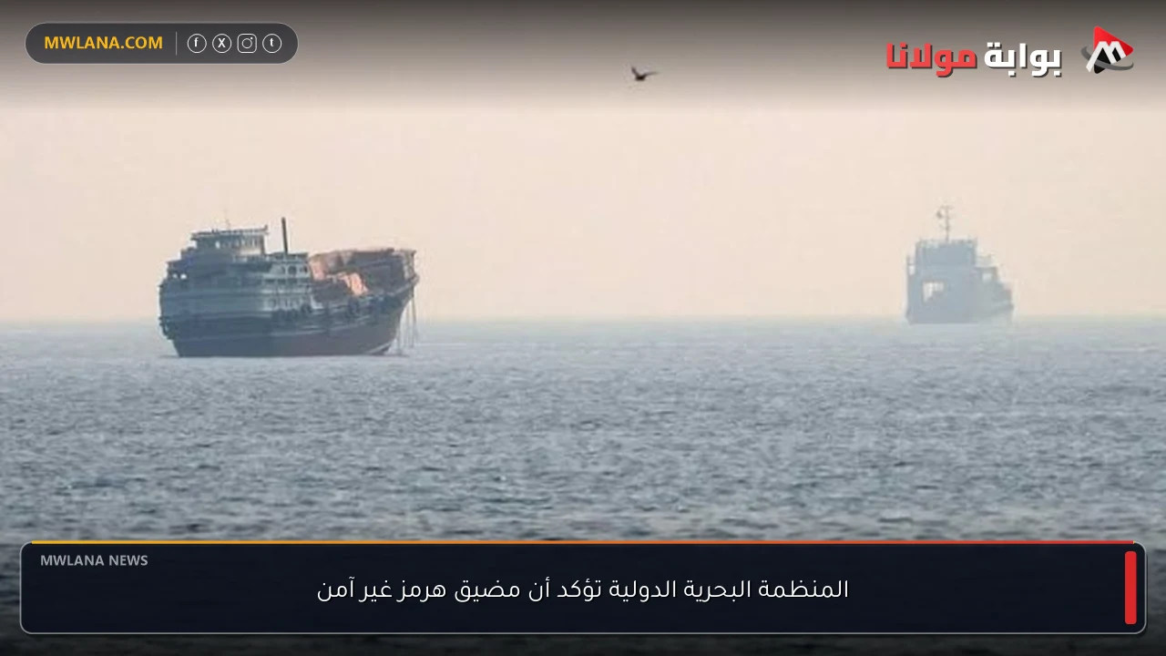 المنظمة البحرية الدولية تؤكد أن مضيق هرمز غير آمن