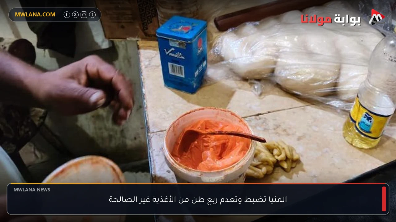 المنيا تضبط وتعدم ربع طن من الأغذية غير الصالحة