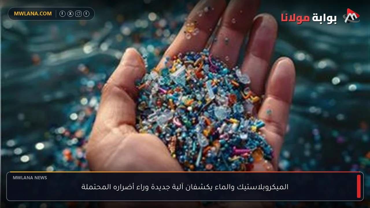 الميكروبلاستيك والماء يكشفان آلية جديدة وراء أضراره المحتملة