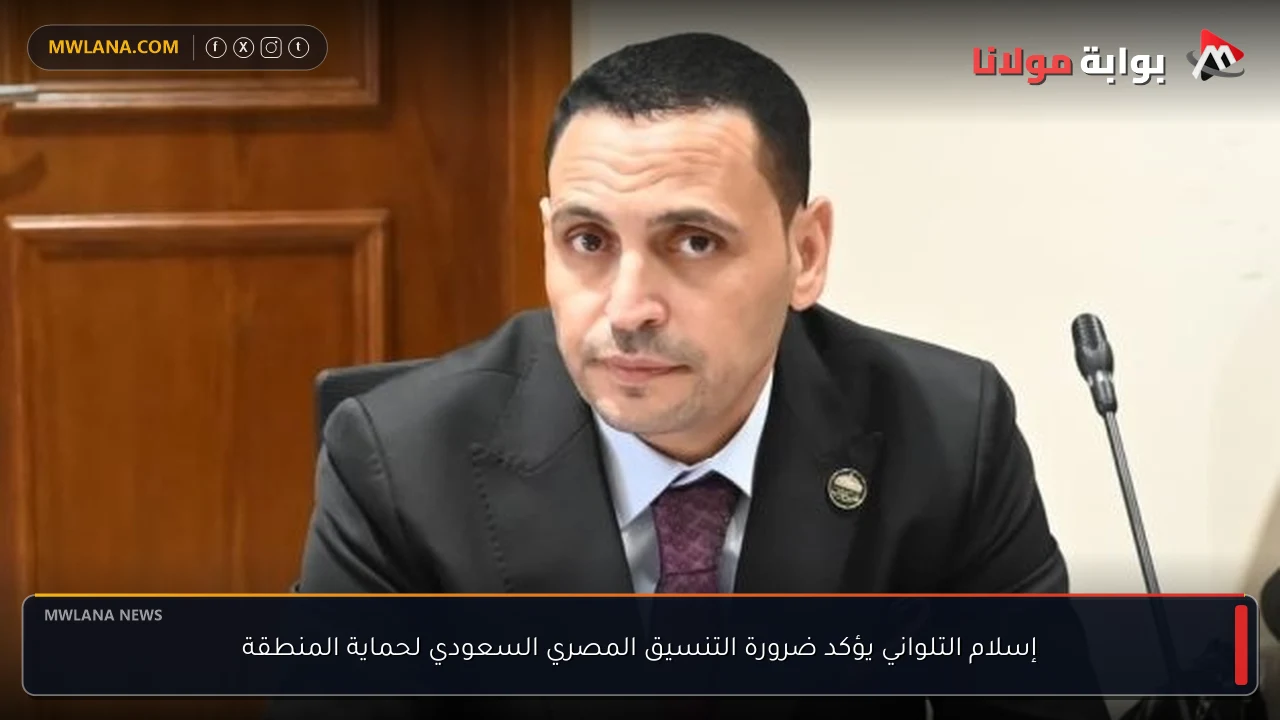 إسلام التلواني يؤكد ضرورة التنسيق المصري السعودي لحماية المنطقة