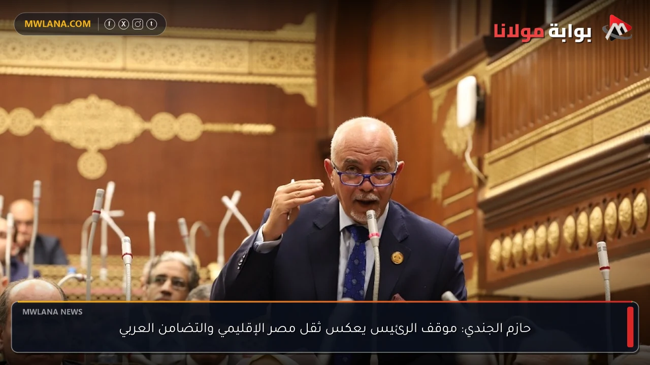 حازم الجندي: موقف الرئيس يعكس ثقل مصر الإقليمي والتضامن العربي