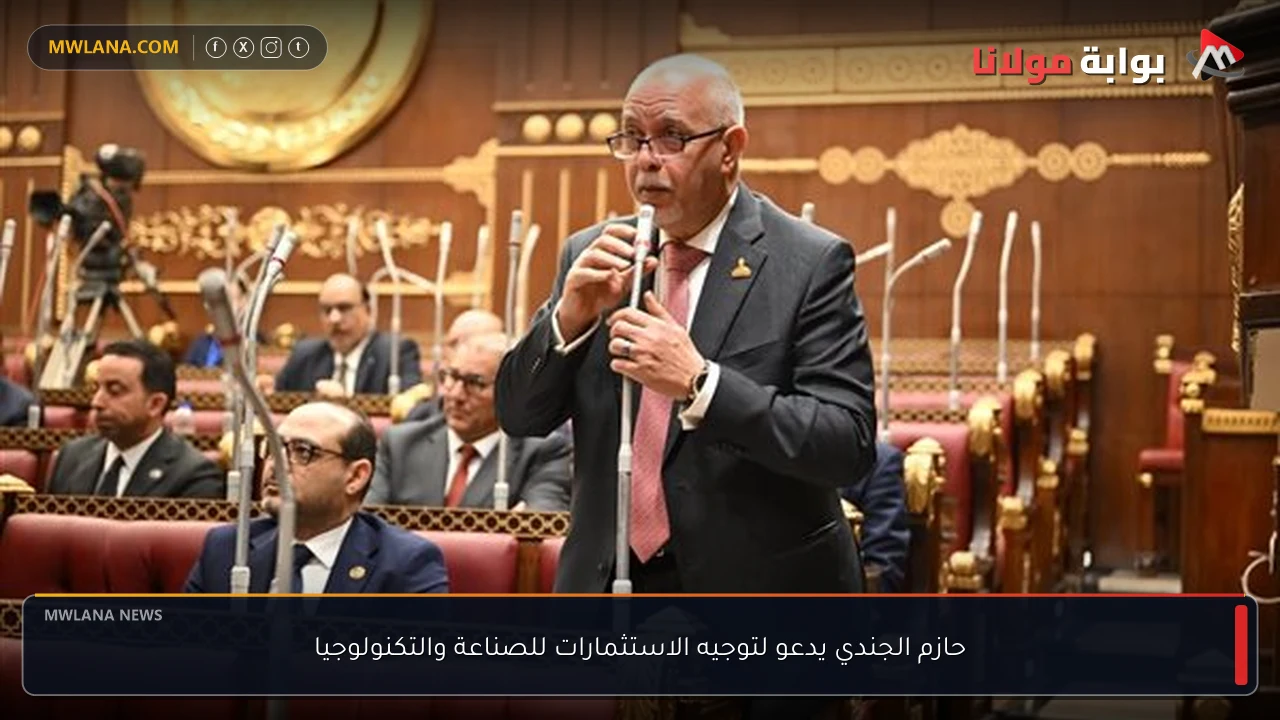 حازم الجندي يدعو لتوجيه الاستثمارات للصناعة والتكنولوجيا