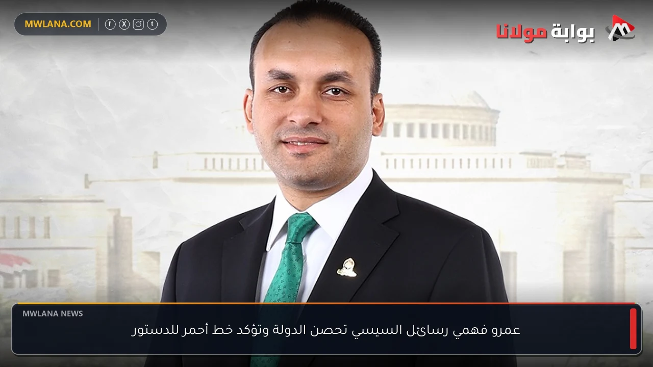 عمرو فهمي رسائل السيسي تحصن الدولة وتؤكد خط أحمر للدستور