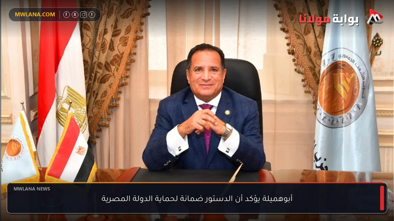 أبوهميلة يؤكد أن الدستور ضمانة لحماية الدولة المصرية
