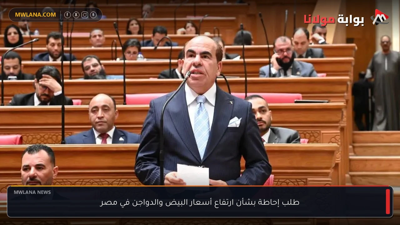 طلب إحاطة بشأن ارتفاع أسعار البيض والدواجن في مصر
