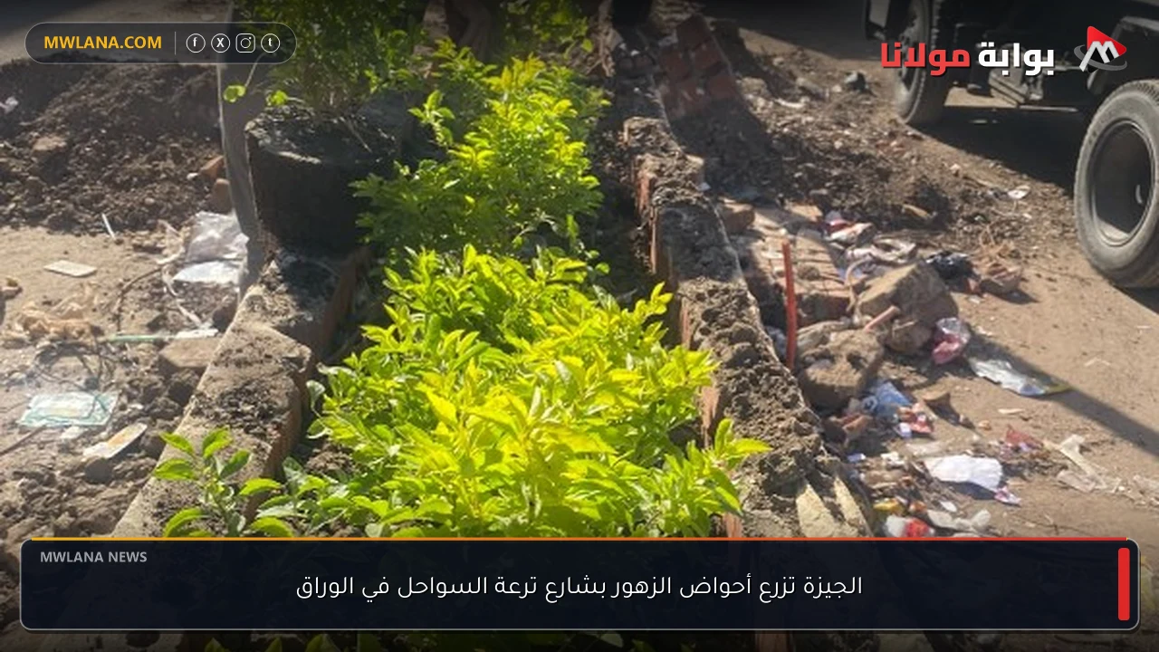 الجيزة تزرع أحواض الزهور بشارع ترعة السواحل في الوراق