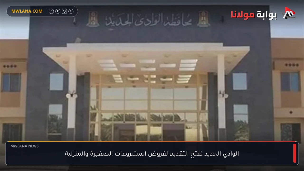 الوادي الجديد تفتح التقديم لقروض المشروعات الصغيرة والمنزلية