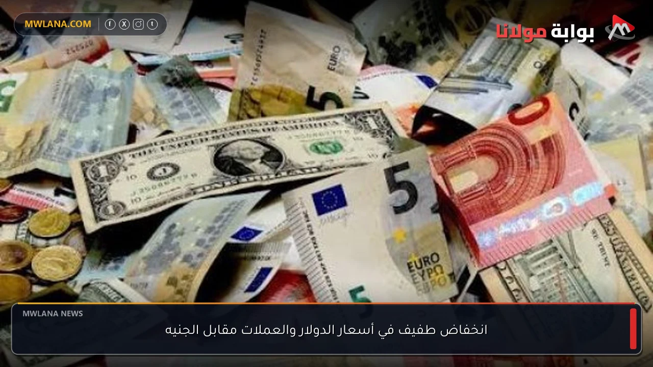انخفاض طفيف في أسعار الدولار والعملات مقابل الجنيه