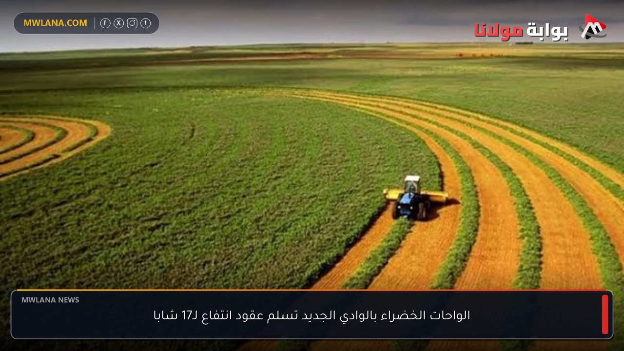 الواحات الخضراء بالوادي الجديد تسلم عقود انتفاع لـ17 شابا