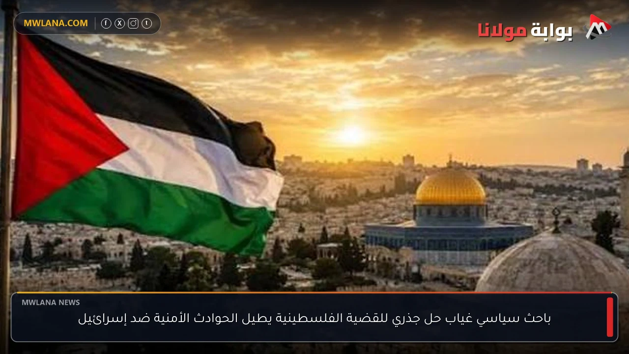 باحث سياسي غياب حل جذري للقضية الفلسطينية يطيل الحوادث الأمنية ضد إسرائيل
